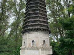 -沈阳植物园