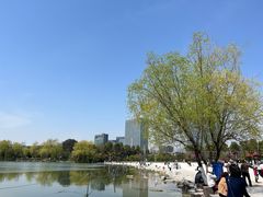 -大宁郁金香公园-停车场