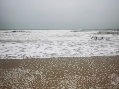 -东海岛旅游度假区