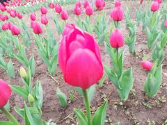 -长春公园(普阳街道)