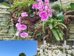 -石家庄市植物园