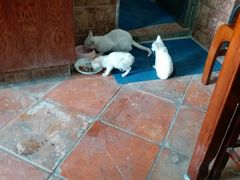 -西关竹园(荔枝湾店)