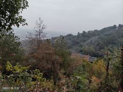 -雨花胜境