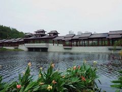 -重庆彩云湖湿地公园
