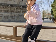 -辽代双塔