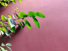 -孔氏南宗家庙