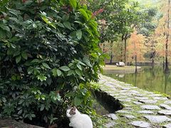 -广州市白云山风景名胜区