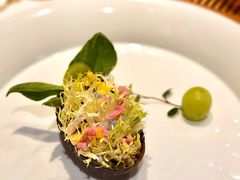 -叶叶菩提·晋福宫