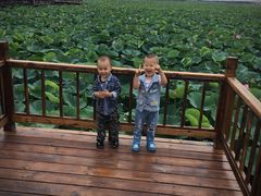 -天津东丽湖风景区