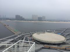 -王潮活海鲜自助·蒸汽海鲜