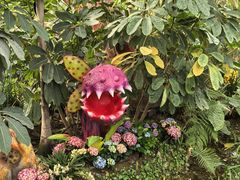 -沈阳植物园