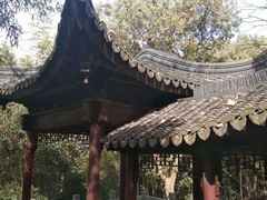 -上海佘山国家森林公园天马山园