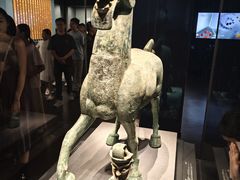 -广西壮族自治区博物馆