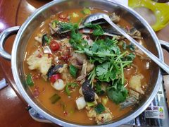 -全乐鱼馆·淳牌有机鱼直营店