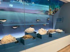 -中国湿地博物馆