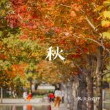 杭州的秋日‖天目里的最美红枫