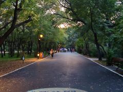 -北陵公园