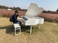 -鹅湖玫瑰文化园