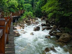 -九龙江国家森林公园