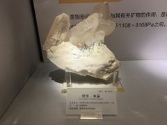 -湖南省地质博物馆