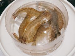 -红鼎豆捞·非遗鲍皇汤火锅(宝丰路店)