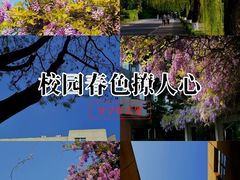 -西南交通大学(九里校区)