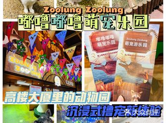 小草探店の沉浸式撸宠体验