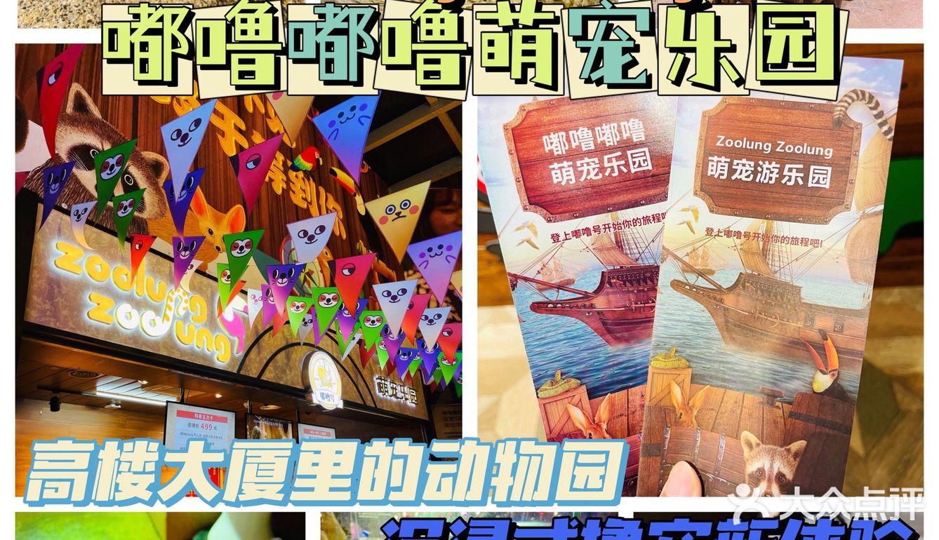小草探店の沉浸式撸宠体验
