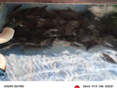 -漓江又一軒·广西菜·桂林米粉(梅林店)