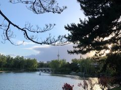 -钓鱼台国宾馆