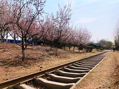 -永定河休闲森林公园