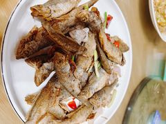 -芦茨金富饭庄·25年老字号·专做稻草鸡
