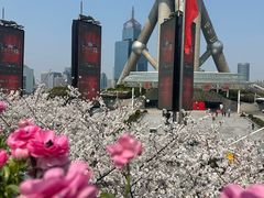 -翡翠36餐厅(浦东香格里拉店)