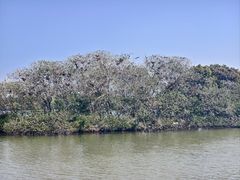 -海珠湖公园