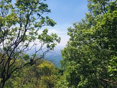 -紫金山山顶公园