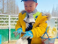 -前小桔亲子创意农场·草莓采摘·露营烧烤