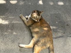 -无牌咖啡&酒馆