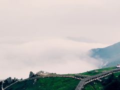 -白草畔自然风景区