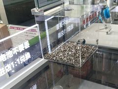 -自然之声助听器·呼吸机(公园路店)