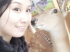 iphone_upload_pic-北京鹿世界主题园