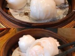 添运来虾饺皇-添运来(茶园奥园广场店)