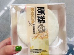 -糕小爱·动物奶油生日蛋糕定制(合肥总店)