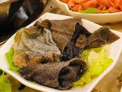 -朱氏胖子烂火锅(洪崖洞店)