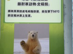 -无锡动物园·太湖欢乐园