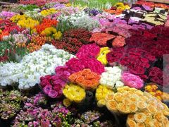 -双季花艺园艺市场(浦东店)