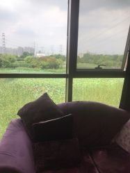 点击看大图 -雅馨国际月子中心