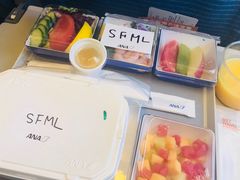 -全日本空输株式会社(上海办事处)