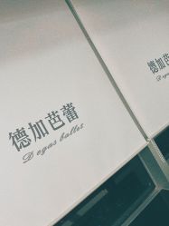 -德加芭蕾·舞蹈培训