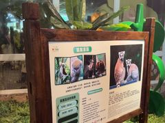 -绿色星球动物主题公园