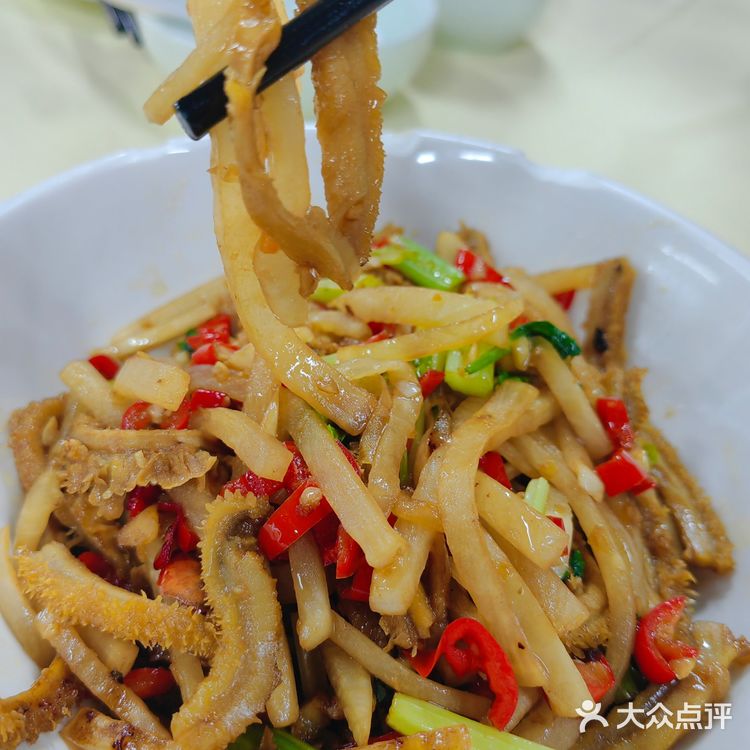 笨萝卜终于来深圳啦!